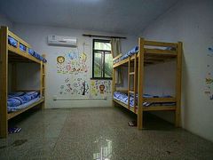 -鑫艺宠物美容培训学校