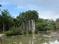 -中国科学院西双版纳热带植物园