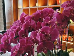 -栾氏荟(柳园店)