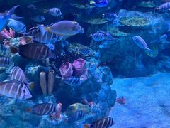 -海合安成都极地海洋公园