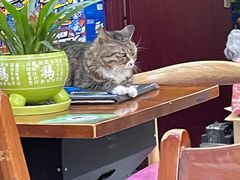 大堂-延成苑韩式烤肉店(长春道店)