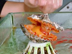 -乡味海鲜农家菜·巽寮土窑鸡(地道美食店)
