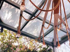 -喵屿·大理花园猫咖