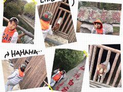 -洛阳白云山景区