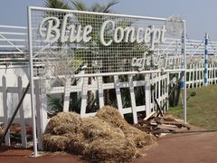 -Blue Concept Cafe&Farm·關於藍