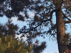 -华山风景名胜区