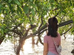 -宝安西湾红树林湿地公园