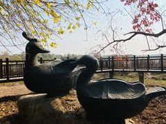 -东湖落雁景区