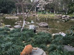 -新湖明珠城