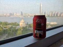 -武汉江城明珠豪生大酒店