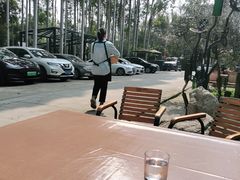 -桉树林A coffee 森林餐厅(三圣乡店)