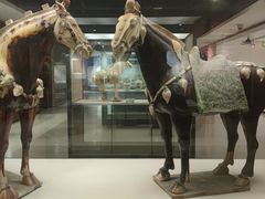 -西安大唐西市博物馆