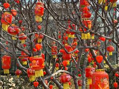 -南宫五洲植物乐园