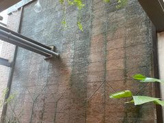 -泓0871臻选云南菜·味庄