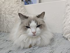 -拜鲁耶动物诊疗中心·宠家动物医院