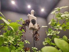 -HELEN FLORAL DESIGN(海上世界文化艺术中心店)