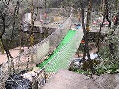 -梦幻奥陶纪景区