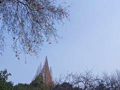 -红梅公园