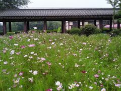 -西安汉城湖景区