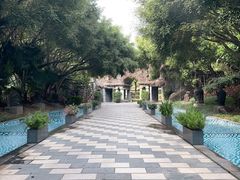 -森波拉火山温泉