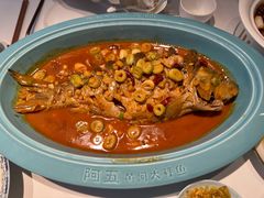 -阿五黄河大鲤鱼(英协路店)