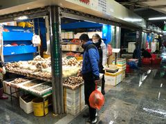 -岳各庄批发市场(西四环中路店)