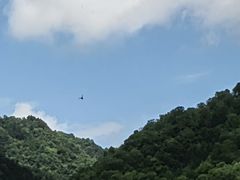 -狮子沟牧场