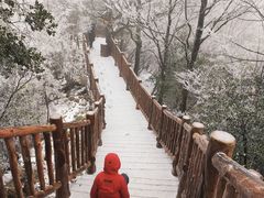 -塔云山