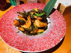 -菌自由丨野生菌火锅特色庭院餐厅(丽江古城店)