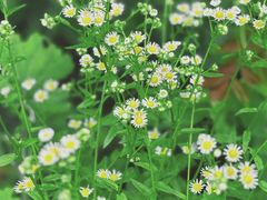 -东天目山风景区