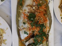 清蒸左口鱼-宾朋海鲜特色美食餐厅·纯手工鲅鱼水饺(兴海路店)