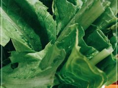 -惠友大虾(太原北街店)