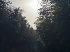 -虞山风景区