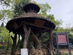 -窦圌山风景区