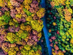 -洛阳白云山景区