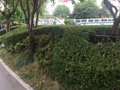 -上海外国语大学(虹口校区)