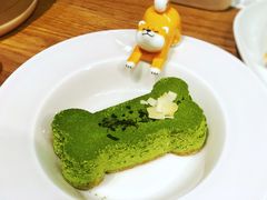 -柴务处·柴犬主题狗咖