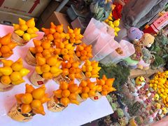 -越秀西湖花市(广州城市广场花卉店)