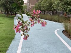 -上海市实验学校
