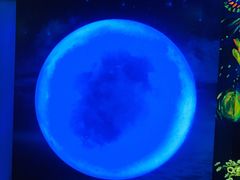-天津梵高星空艺术馆(天河城旗舰店)