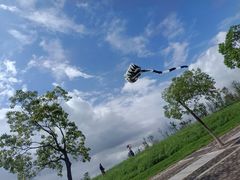 -南汇嘴观海公园