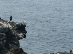 -龙头岩(Dragon Head Rock)