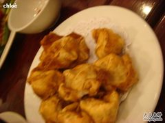 炸餛飩-正德顺順德雙皮奶(中信店)