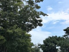 -在海一方公园