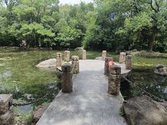 -新虹桥中心花园