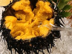 -日月昇渔家菜·海肠捞饭·大连海鲜(星海公园店)