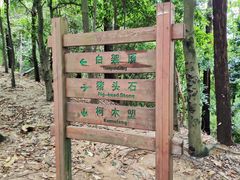 -火炉山森林公园