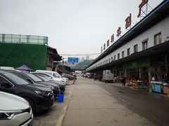 -菜园坝水果市场