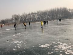 -丁香湖公园