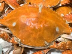 -北塘海鲜·天津菜(大光明桥旗舰店)